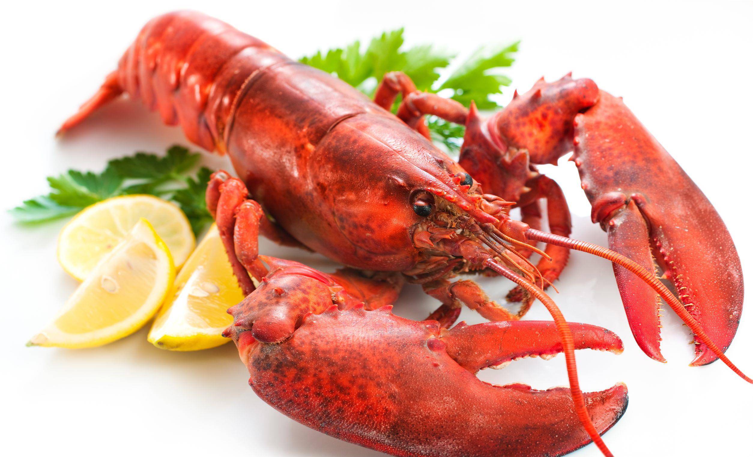 近期小龙虾价格行情，逆袭之路，人生亦可如此精彩！