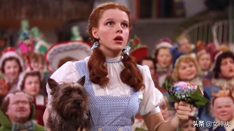 免费观影网站,便捷娱乐背后的利弊探讨