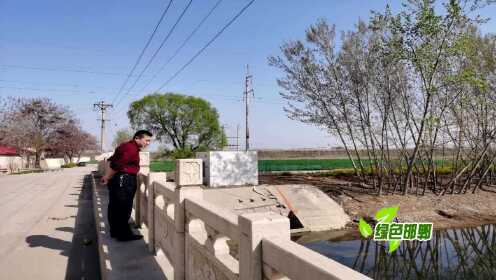 内黄环保最新资讯，小巷深处的绿色奇遇