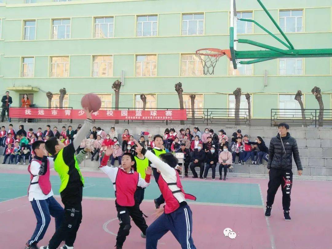 中国男篮最新动态，篮球场上的热血瞬间与温暖日常
