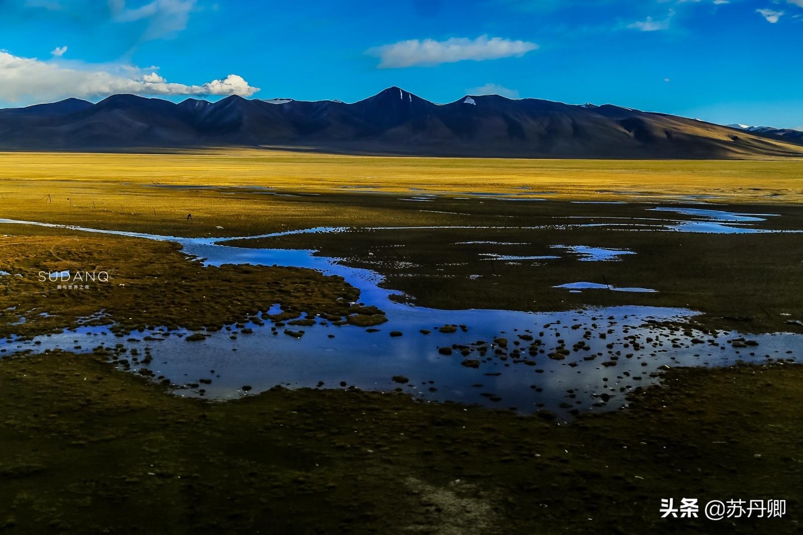 最新高原音乐精选,自然美景与心灵之旅的交融盛宴