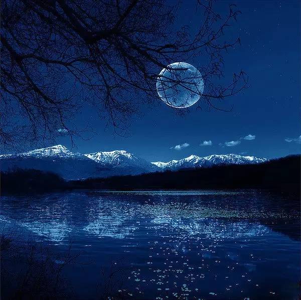 秦姓演员探寻自然美景，心灵之旅寻找宁静