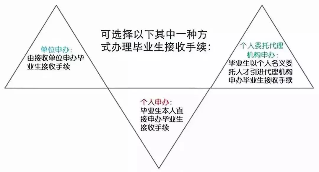 四环生物行情深度解析与操作指南