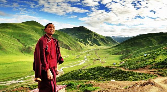 最新僧尼动态，心灵与自然的完美交融