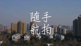 洋县北二环最新进展揭秘，小巷深处的惊喜进展报告