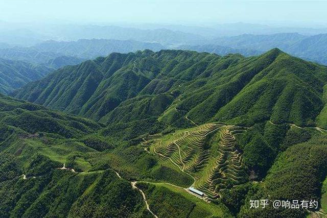 安化黑茶最新动态，自然美景与内心平静的双重探索之旅