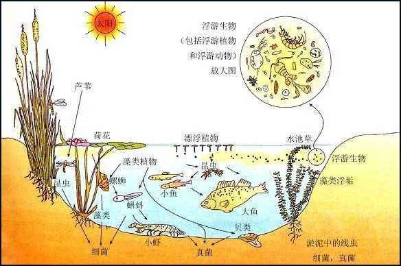 落户咨询 第145页