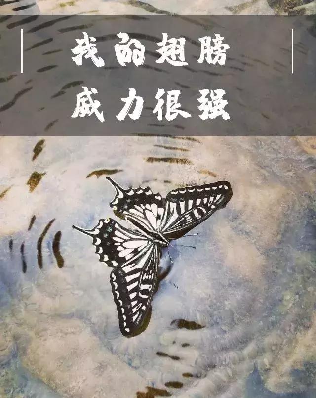 最新税收征管法解读与观点阐述