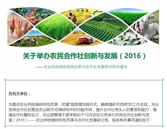合作社最新政策多维度解析与观点论述