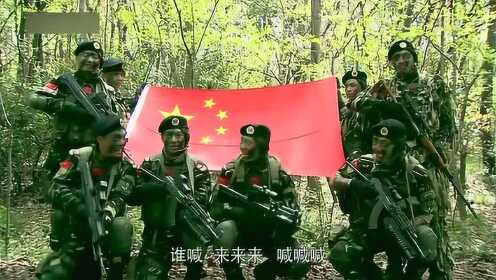 超越传统风采，新时代特种兵的崛起与展示
