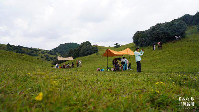 H9最新消息揭秘，心灵探索之旅，自然美景的奇妙旅程