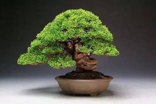 禾辉云文化科技 第143页