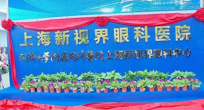 探索视界新纪元，最新眼科进展与探索之旅