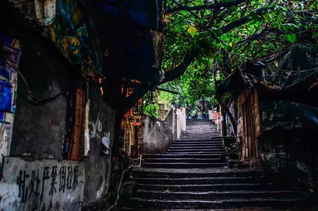 王语纯最新