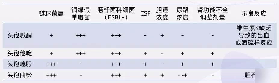 头孢最新一代，智慧之光引领成长之路