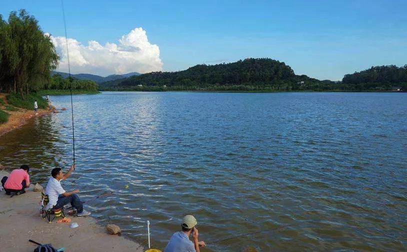 李大毛最新钓鱼视频,湖畔的静谧时光