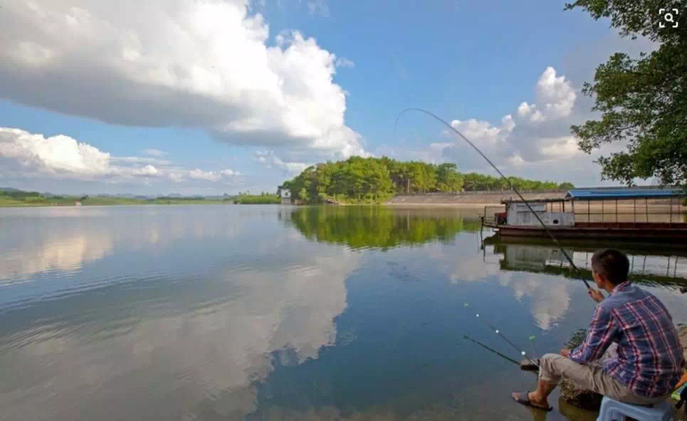 李大毛最新钓鱼视频,湖畔的静谧时光