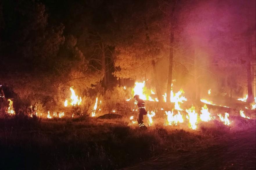 瑞安房价最新动态,学习、变化,筑梦家园