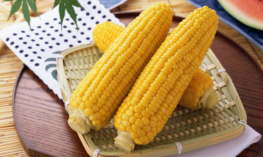 内蒙古玉米最新价格及巷弄深处的玉米香