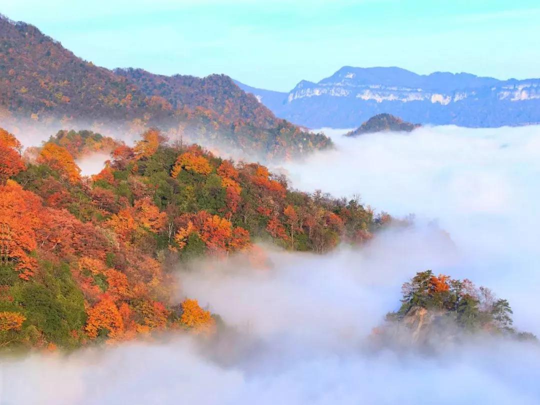 光雾山旅游攻略大全，最新科技与极致体验之旅