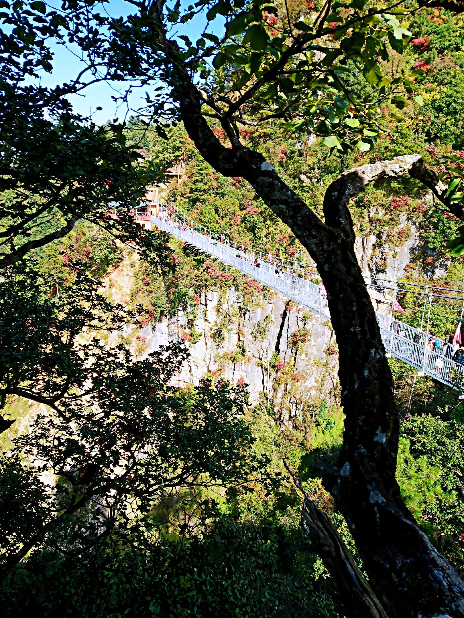 问道手游最新区，小城奇幻冒险探索之旅