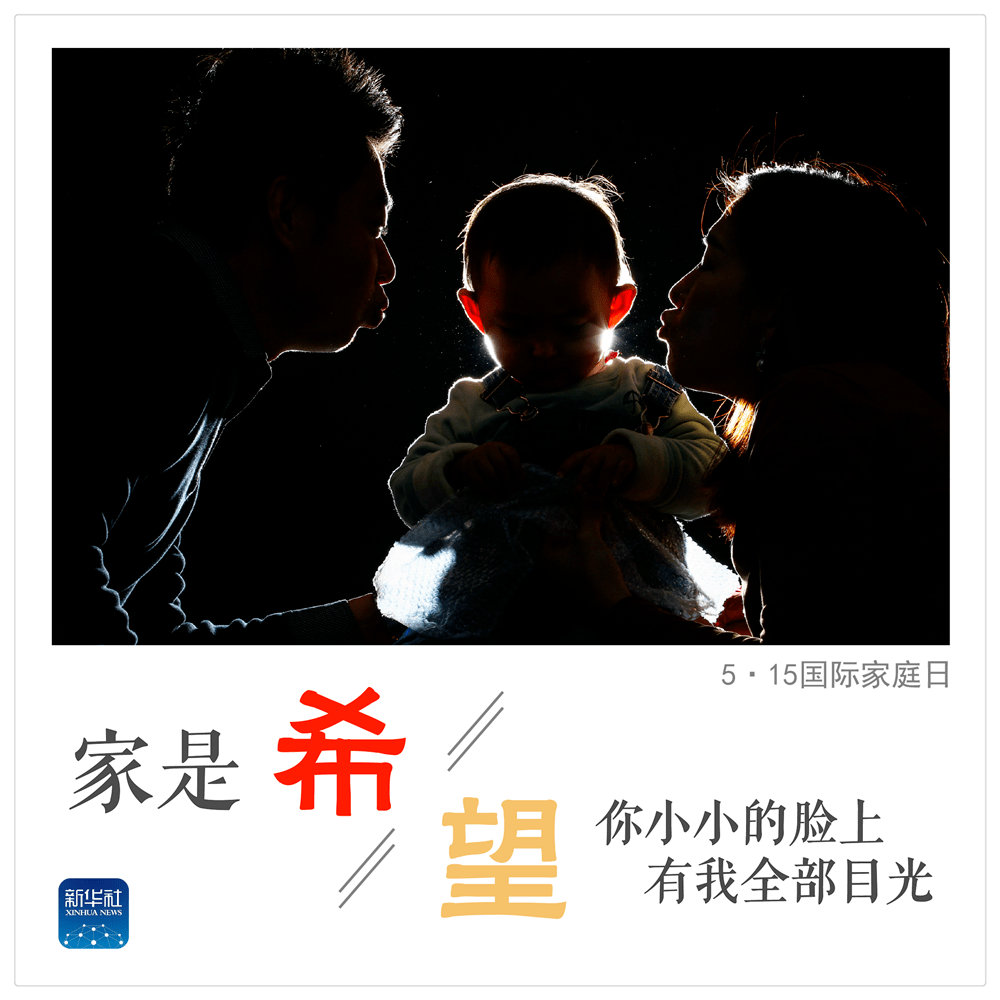 最新热门伦理话题，友情之家的温馨日常