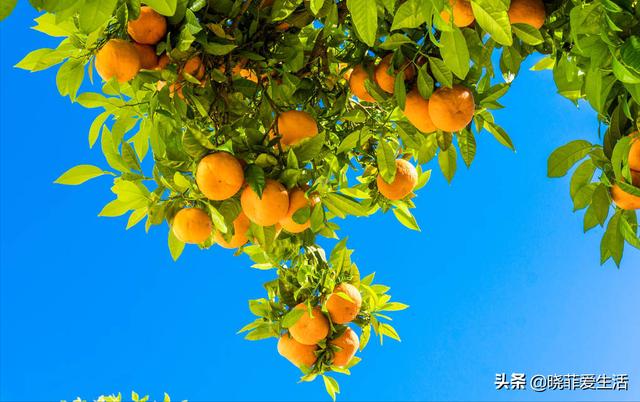 落户咨询 第102页