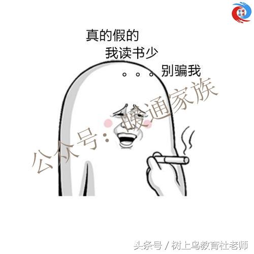 天正建筑最新版全面教程，从初学者到进阶用户的使用指南