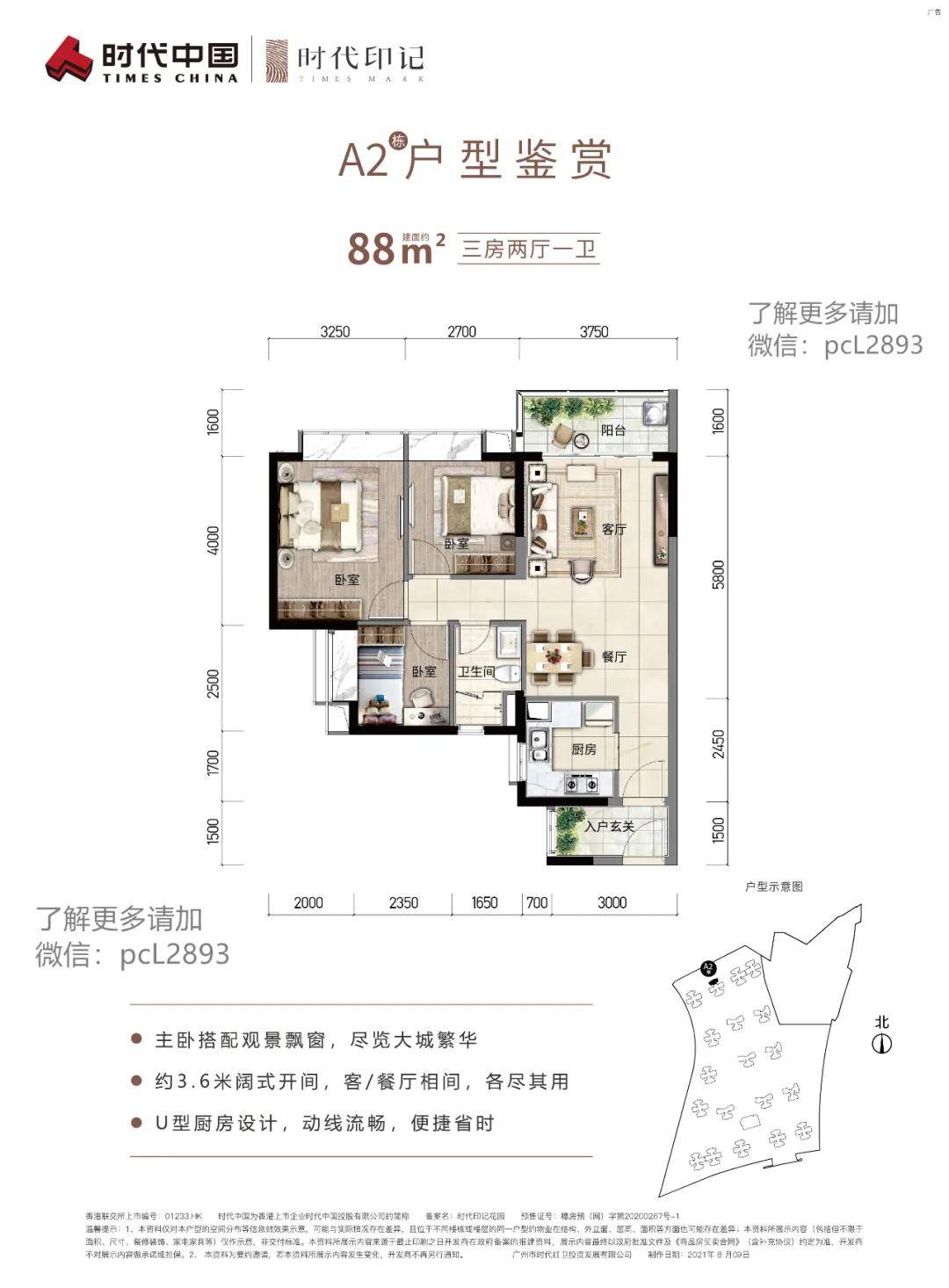 蒜黄价格动态,时代印记下的市场波动