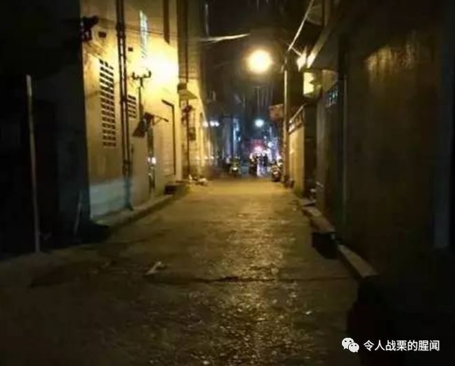 缉毒最新揭秘,小巷深处的神秘小店疑云重重