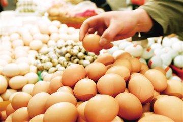 北京鸡蛋最新价格融入日常温馨生活
