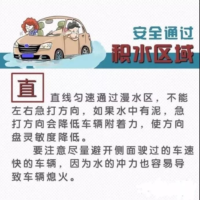 东营司机最新招聘信息，启程寻找最佳司机，开启一段温馨的旅程之旅