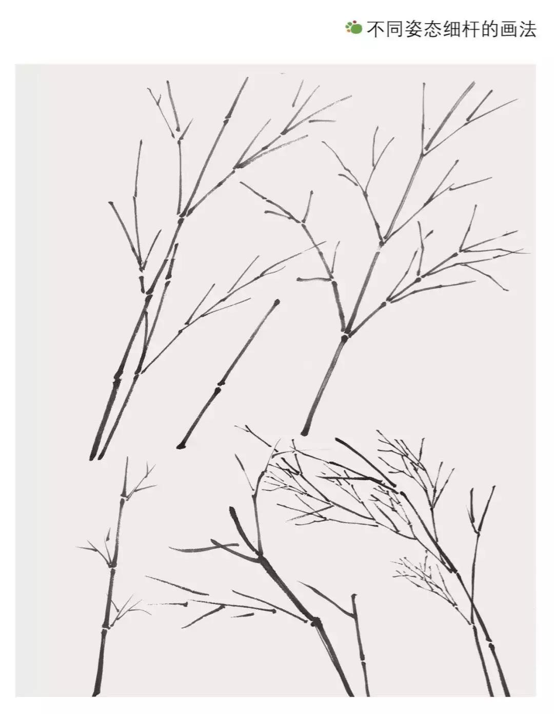 个税最新规定详解,初学者与进阶用户的步骤指南