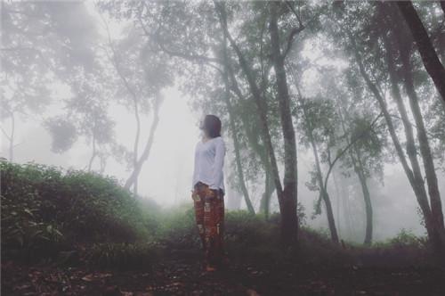 韩国最新爱情片,自然之旅,探寻内心的宁静与浪漫