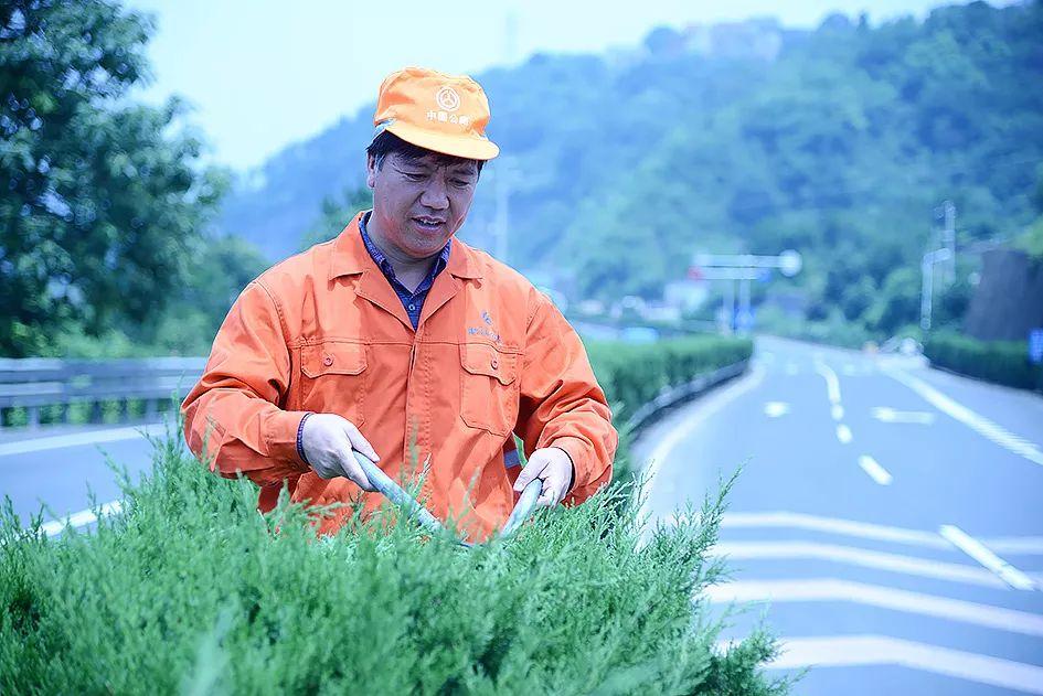 新昌最新招工信息,职场与友情的交织故事