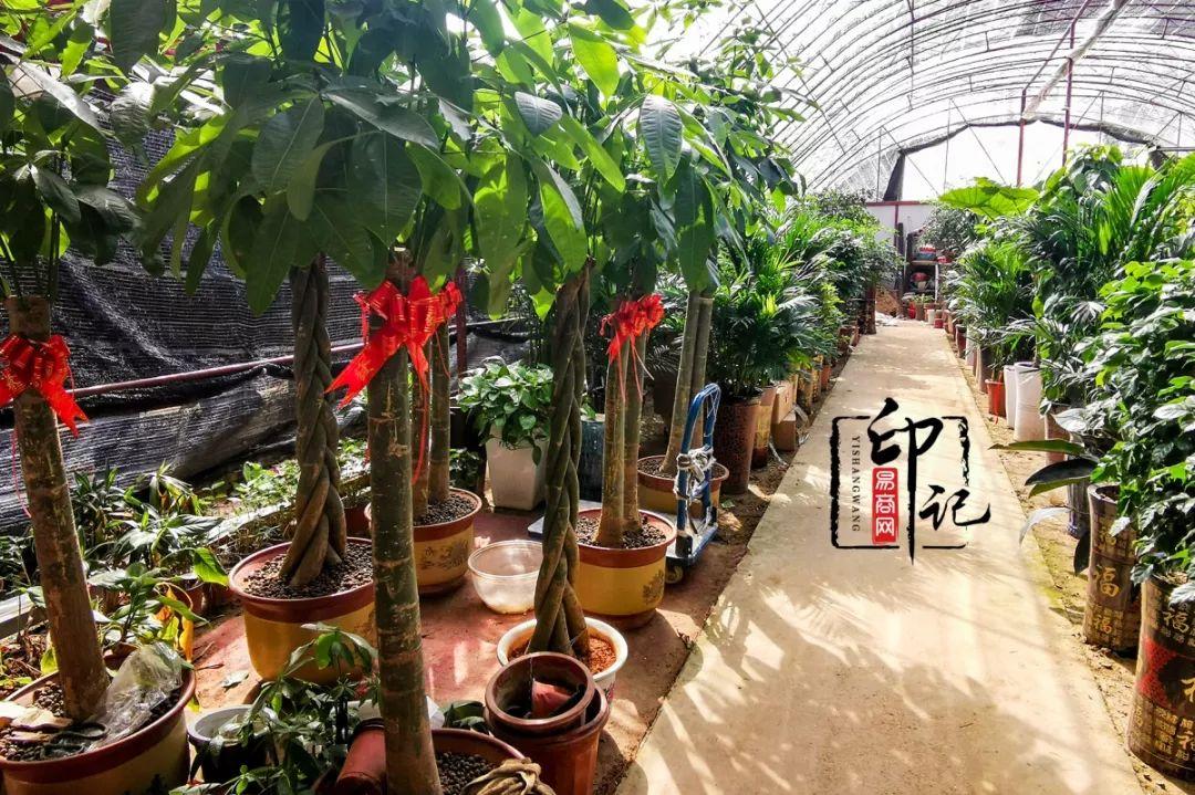 商丘疫情最新消息