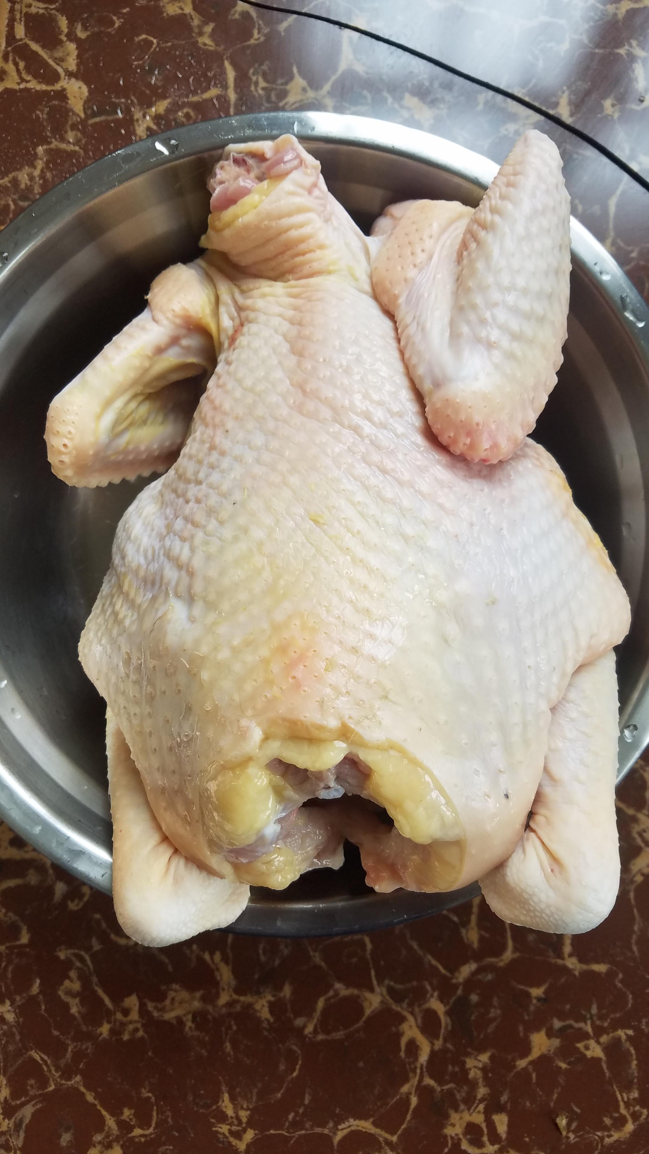 广东鸡价格最新动态,学习变化中的市场趋势,自信成就未来力量