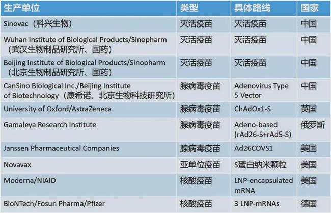 新型冠状病毒疫苗最新动态，全面指南及最新消息速递