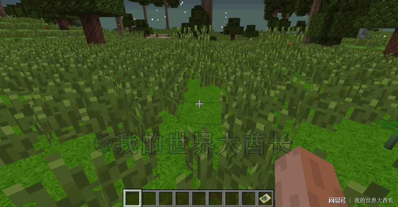 森林最新版下载攻略,探索与生存的最新篇章,下载开始!