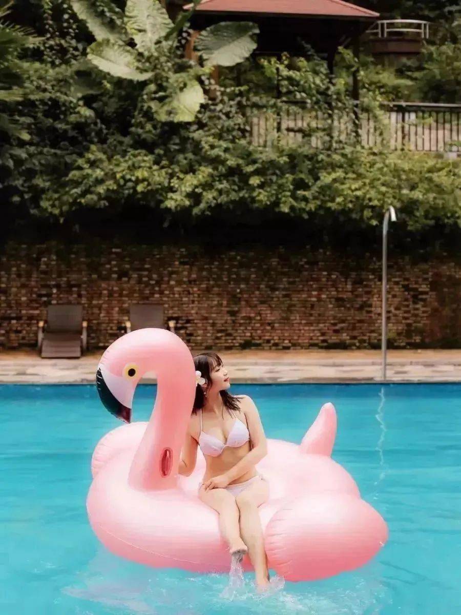 夏日冒险之旅,最新体验,温馨之旅开启