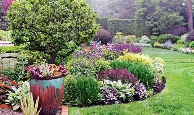 科技与自然完美融合,最新版植物高科技产品详解