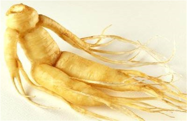 人参最新价格行情揭秘,小巷深处的参香奇缘