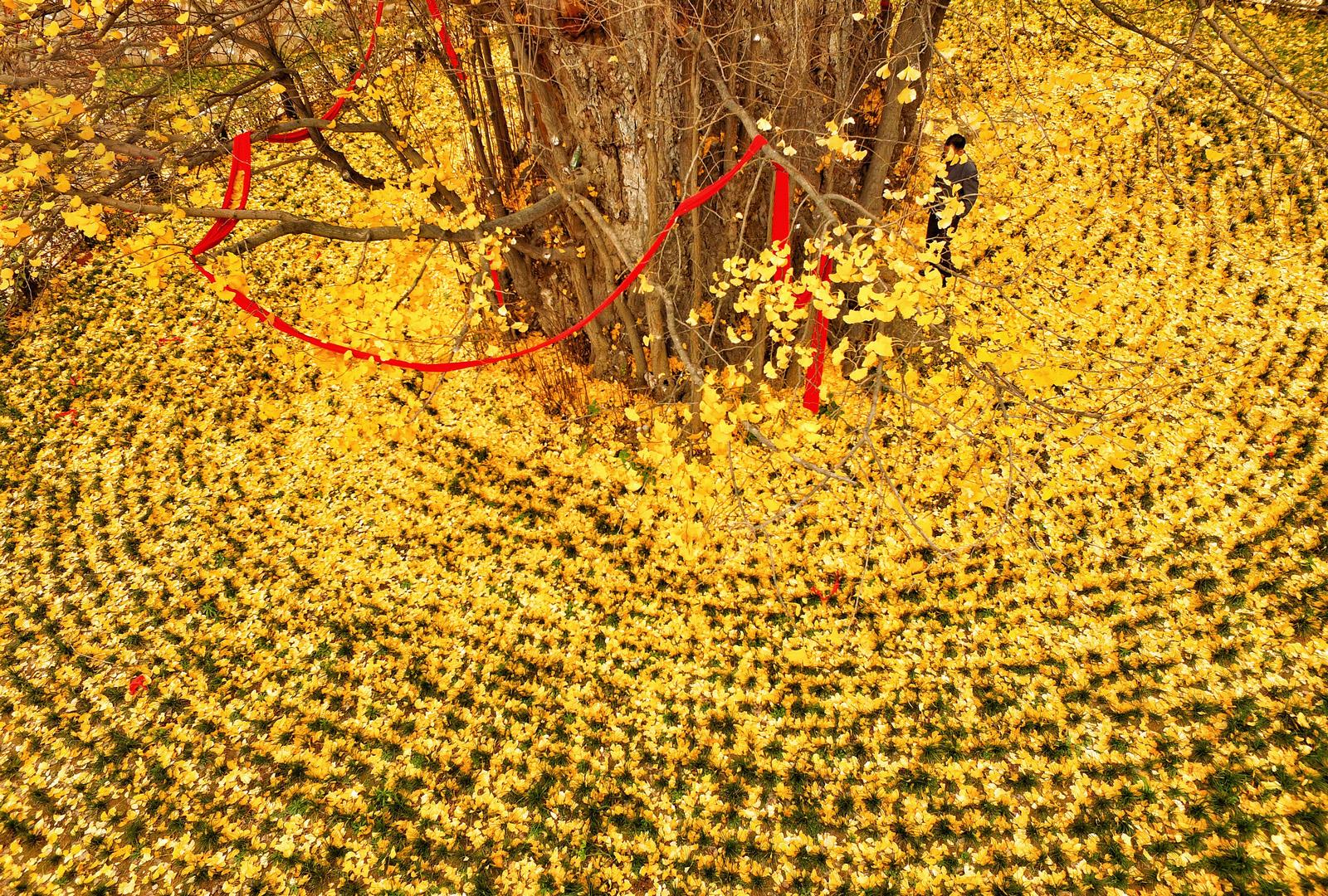 qq最新版本免费下载,QQ最新版本免费下载,一场自然美景的旅行邀请