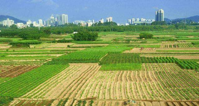 多元视角解读最新农村土地政策深度解析与探讨