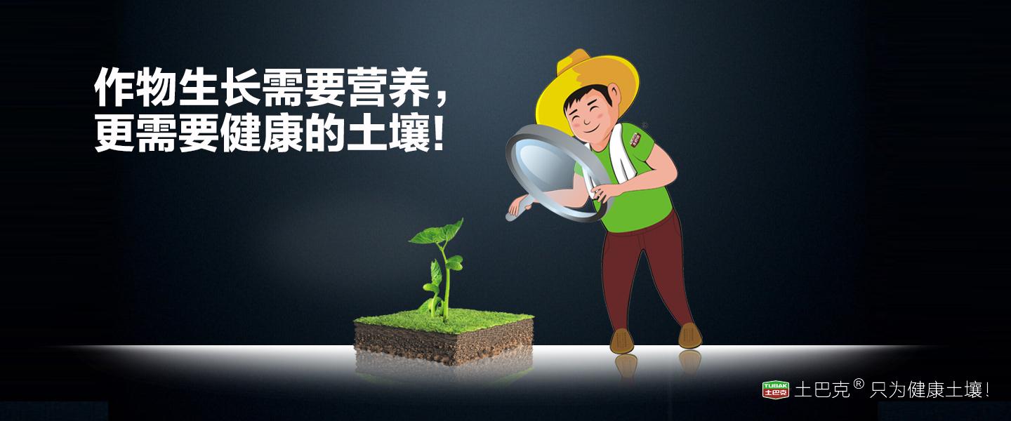 禾辉云文化科技 第17页