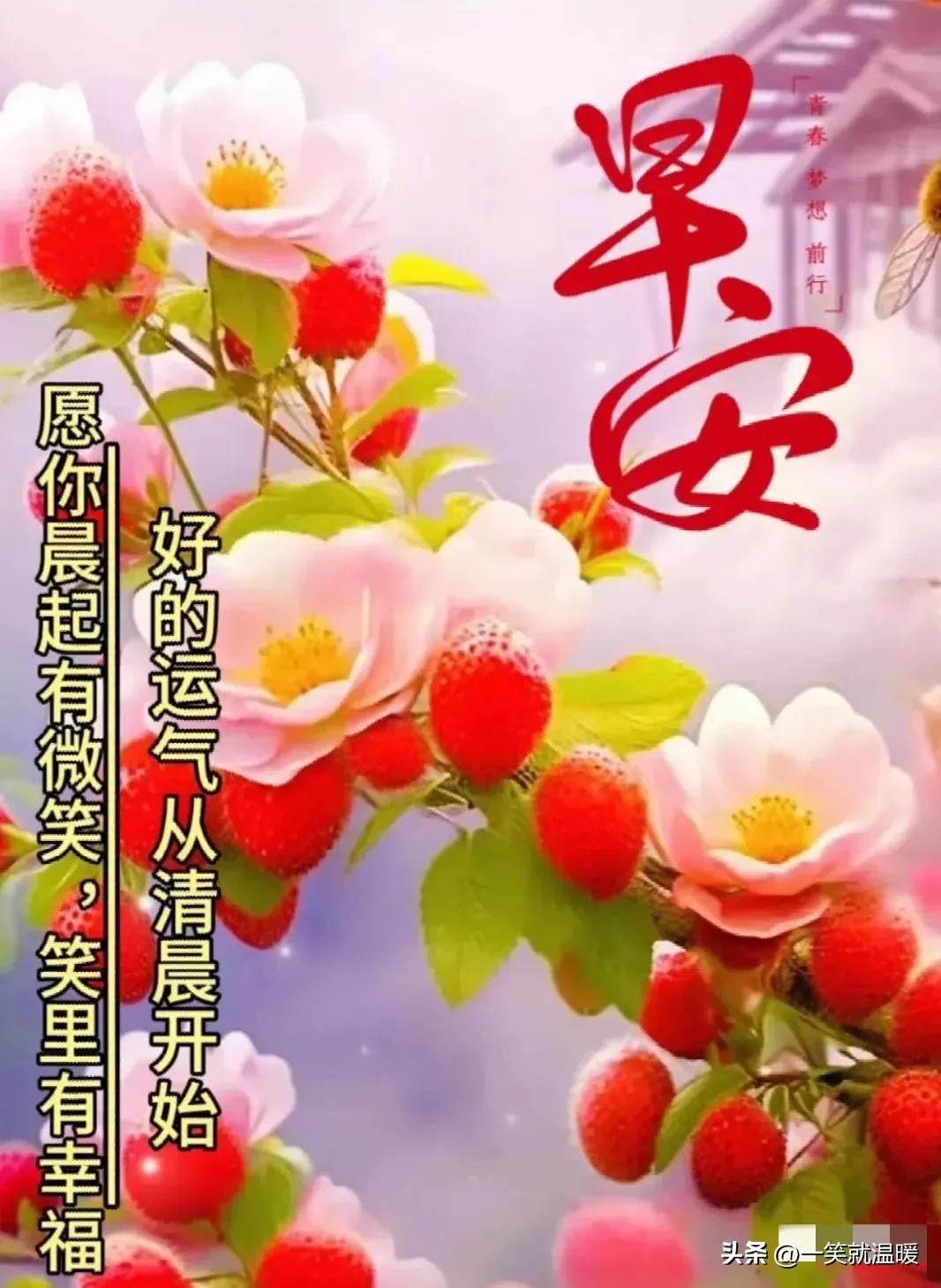 观点论述
