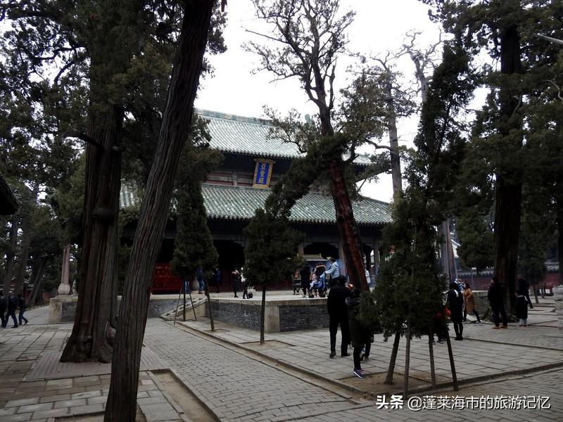 邹城地震最新消息更新,实时动态及关注📢🌨️🌡️