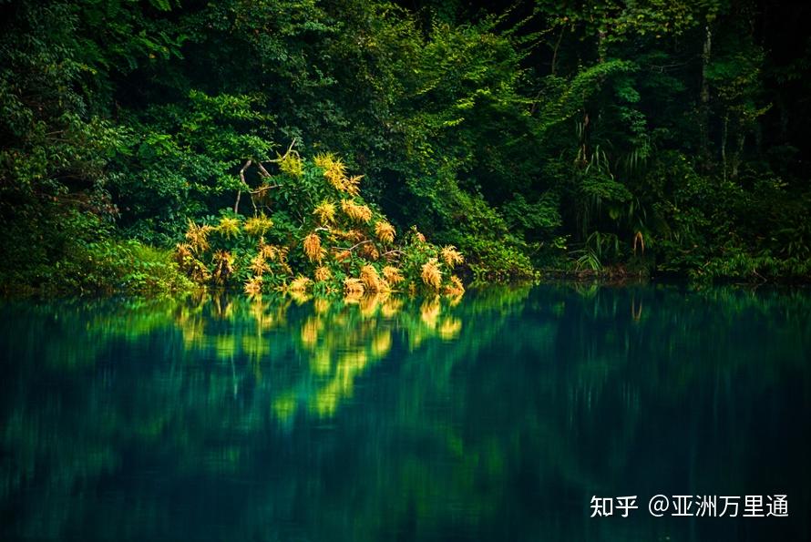 探索自然美景之旅