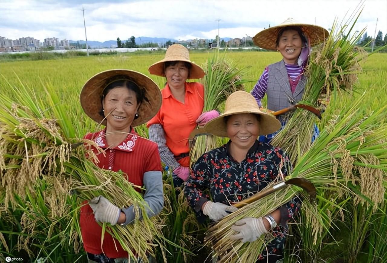 传感器最新技术革新与应用领域探讨