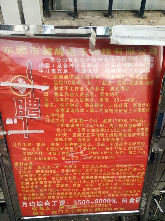石排最新招聘临时工